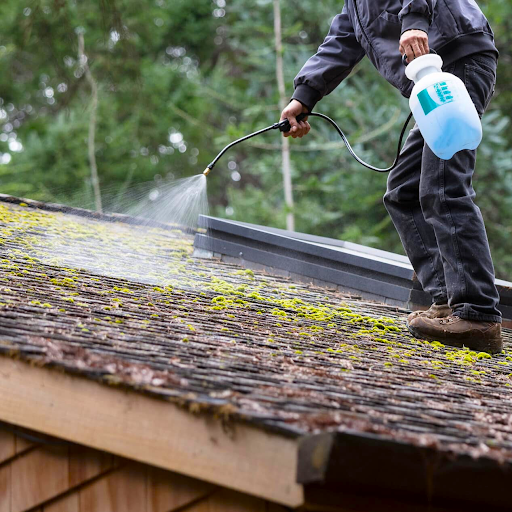 ECO-FRIENDLY ROOF CLEANING